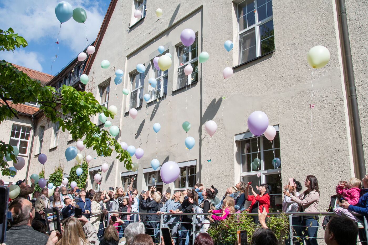 Schmetterlingsflug