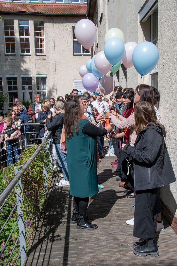 Schmetterlingsflug