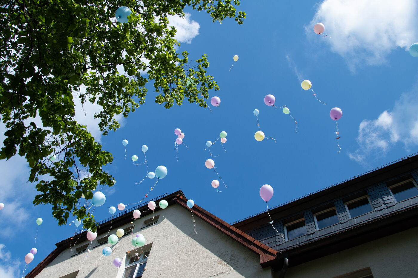 Schmetterlingsflug
