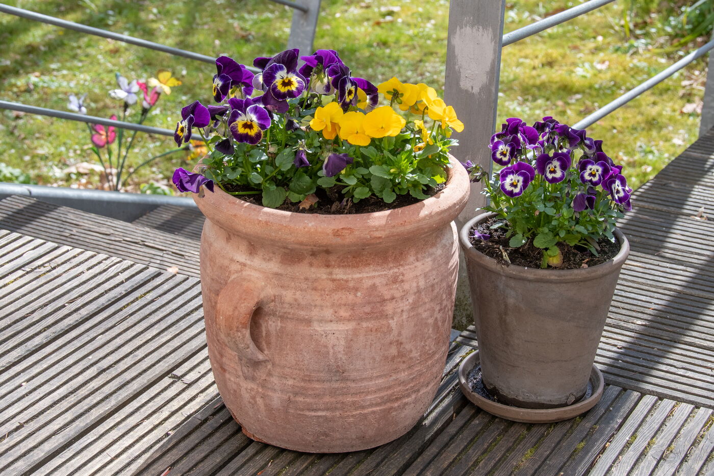 Bepflanzung von Blumenkästen