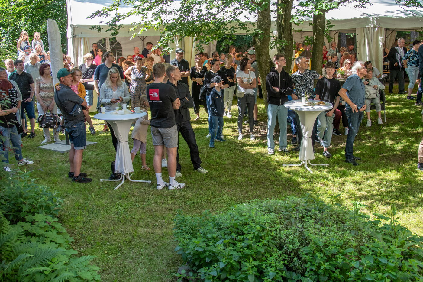 Schmetterlingsflug