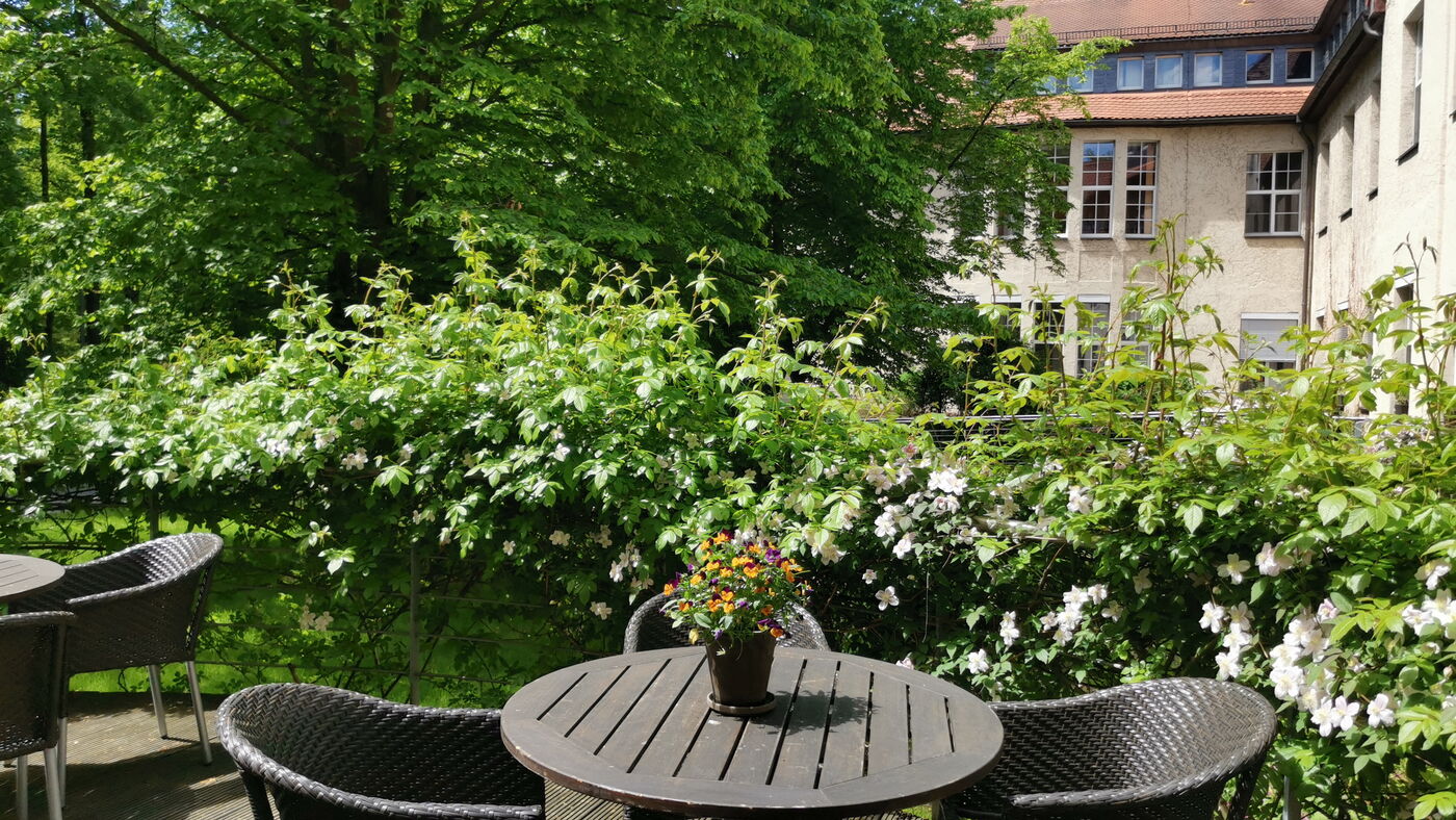 Bepflanzung von Blumenkästen